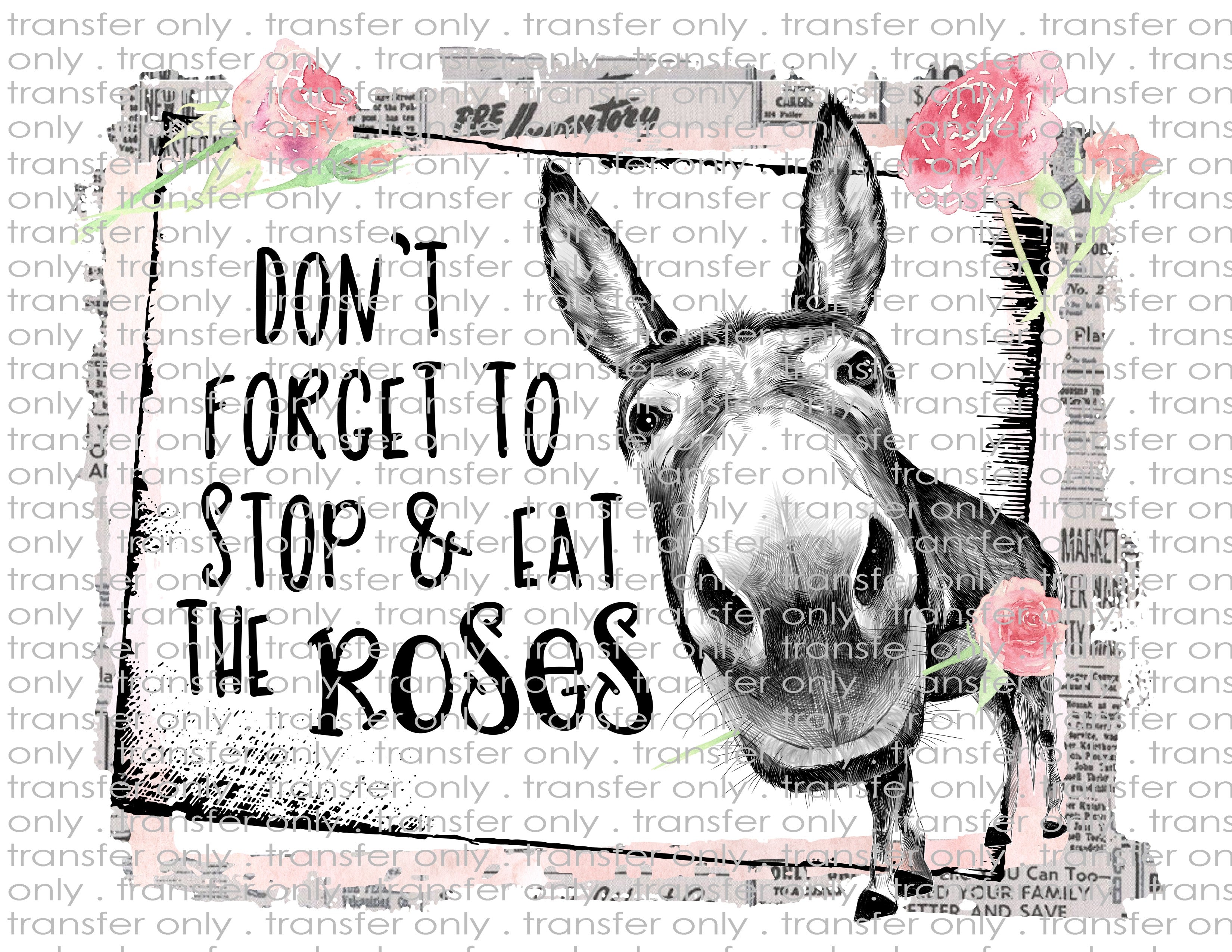 Waterslide, Sublimation Transfers - Ladies