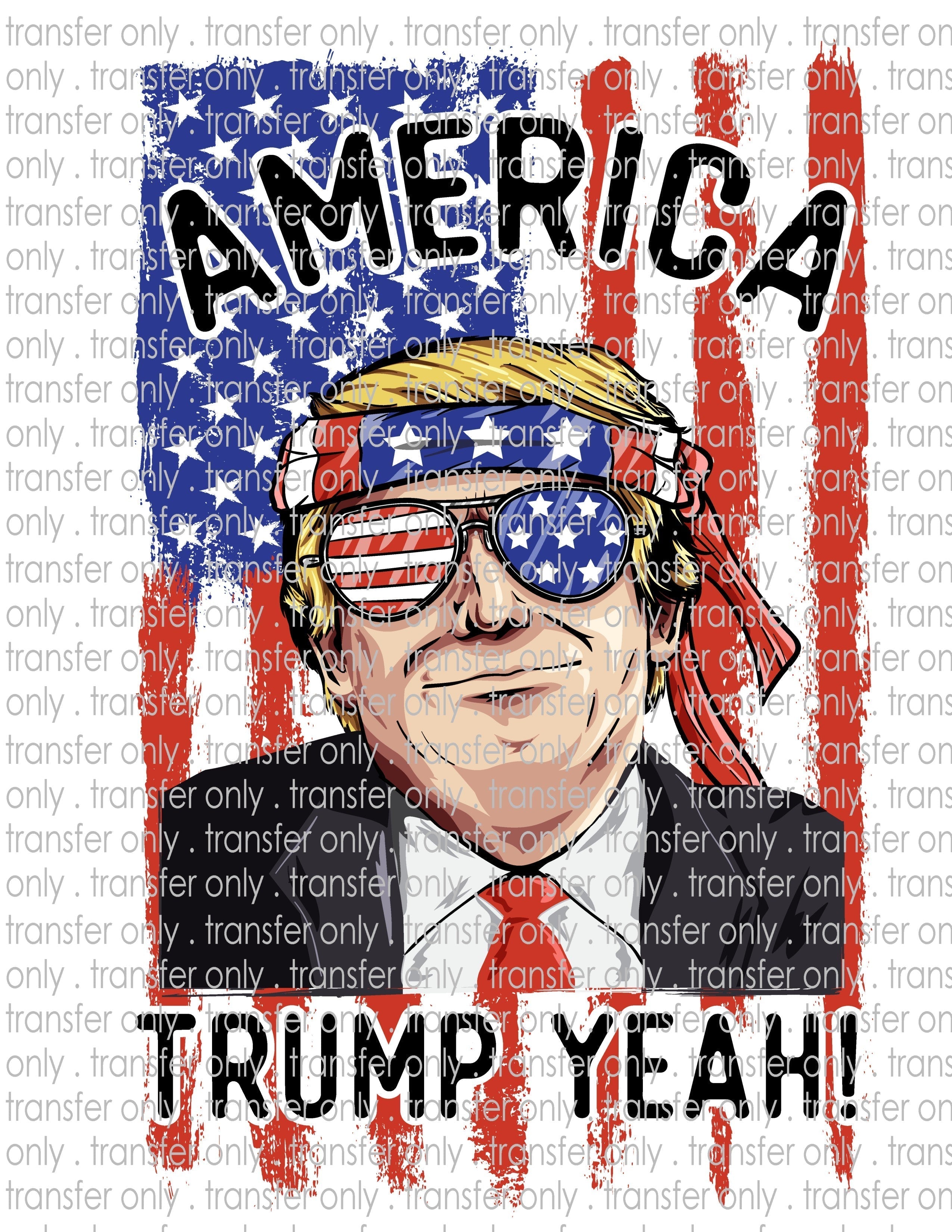 Waterslide, Sublimation Transfers - Patriotic