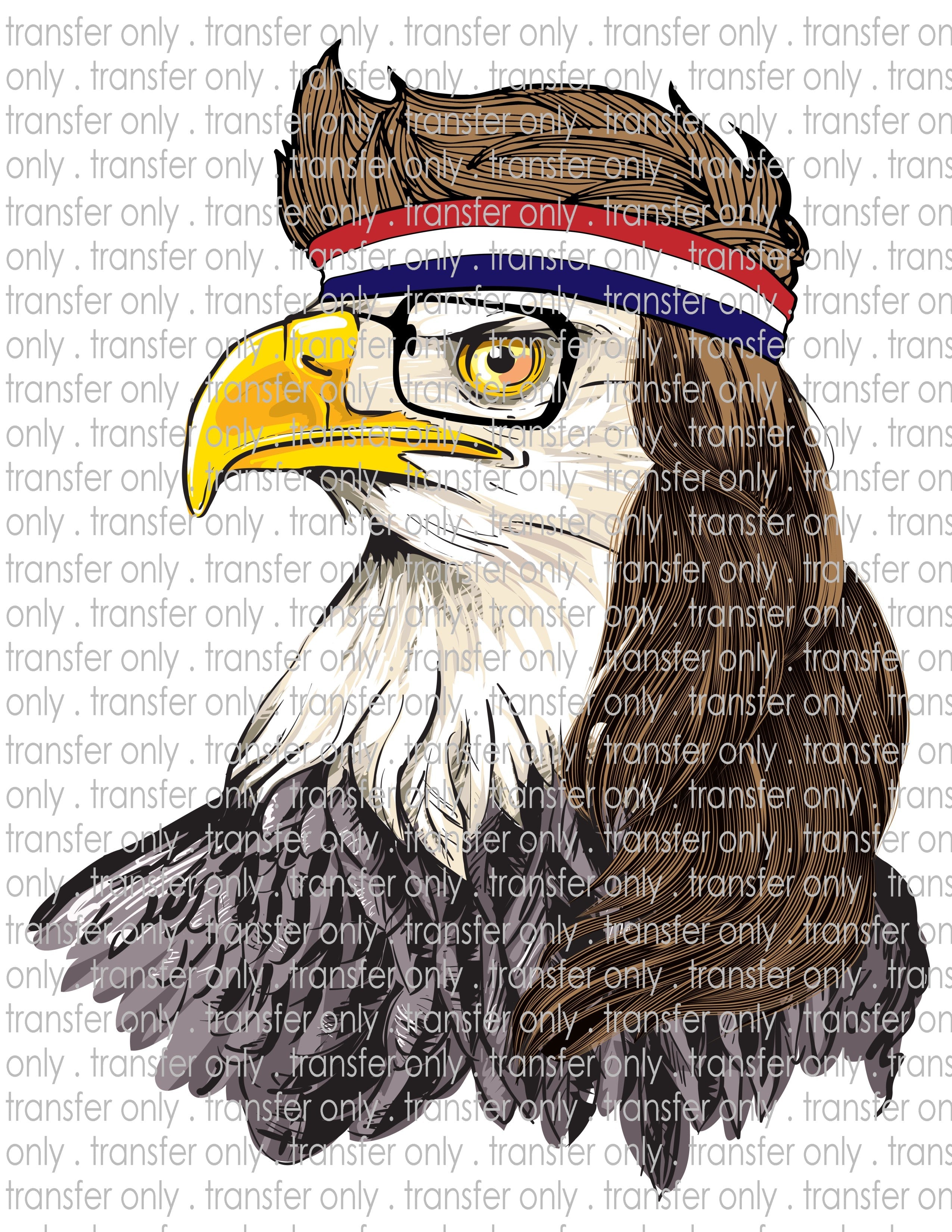 Waterslide, Sublimation Transfers - Patriotic