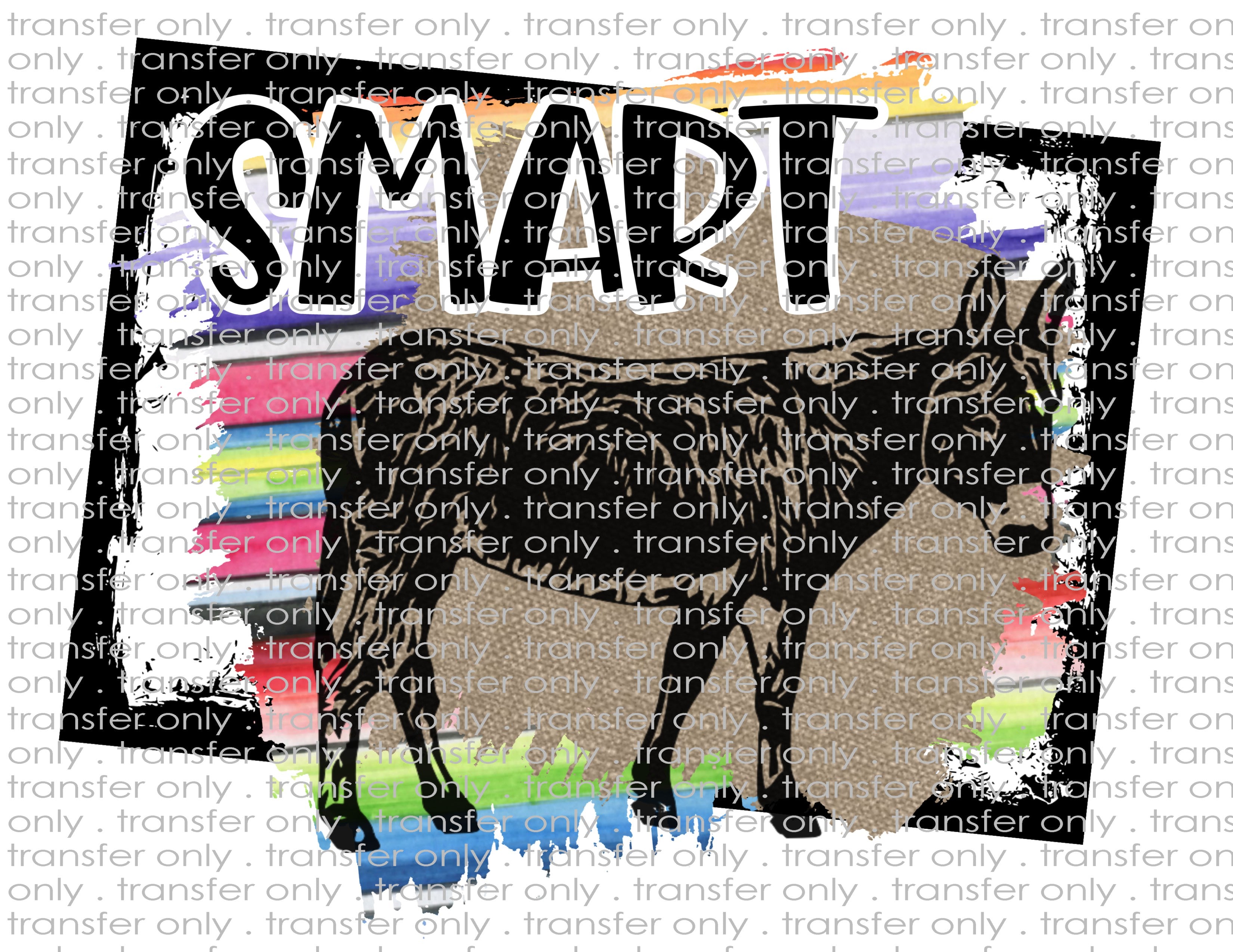 Waterslide, Sublimation Transfers - Mature Adult