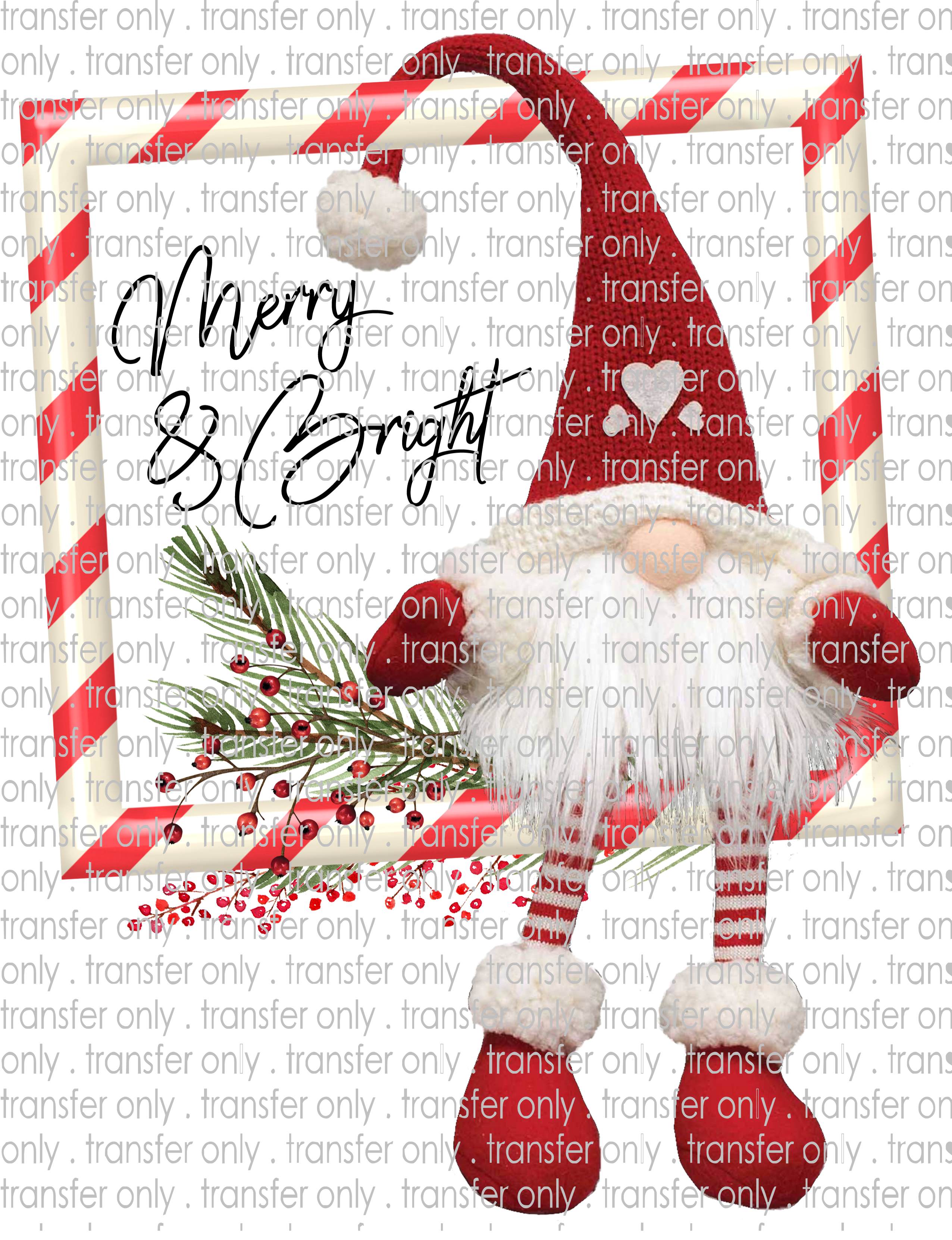 Waterslide, Sublimation Transfers - Christmas