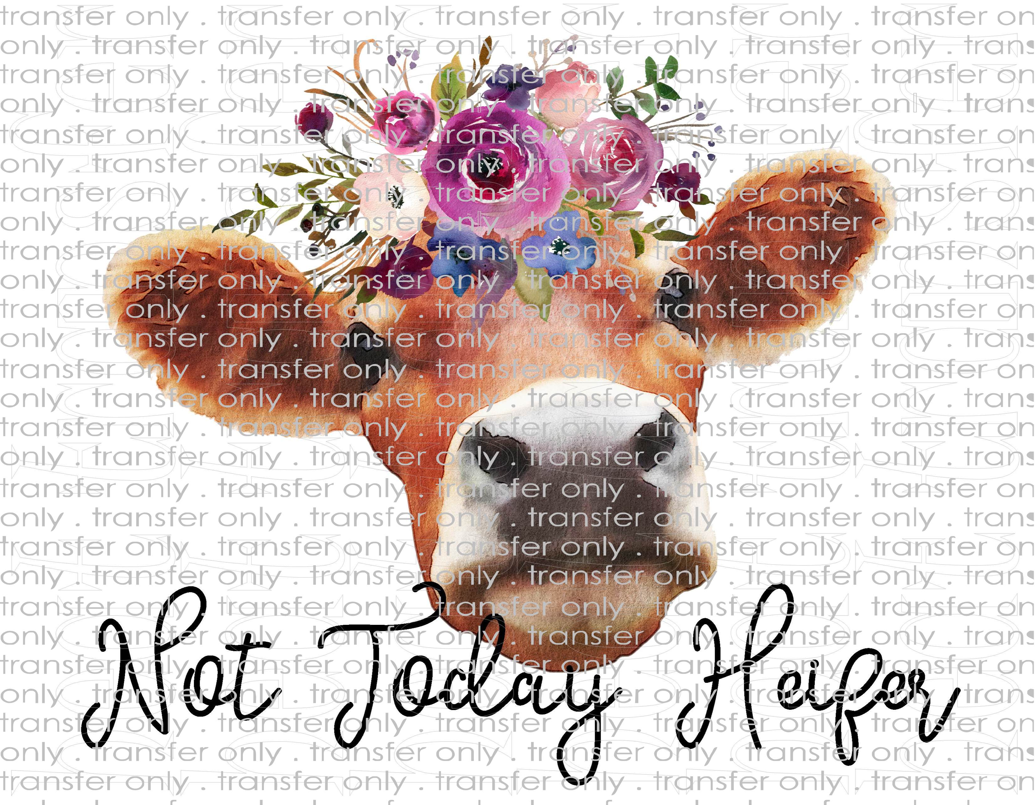 Waterslide, Sublimation Transfers - Country Cow Heifer