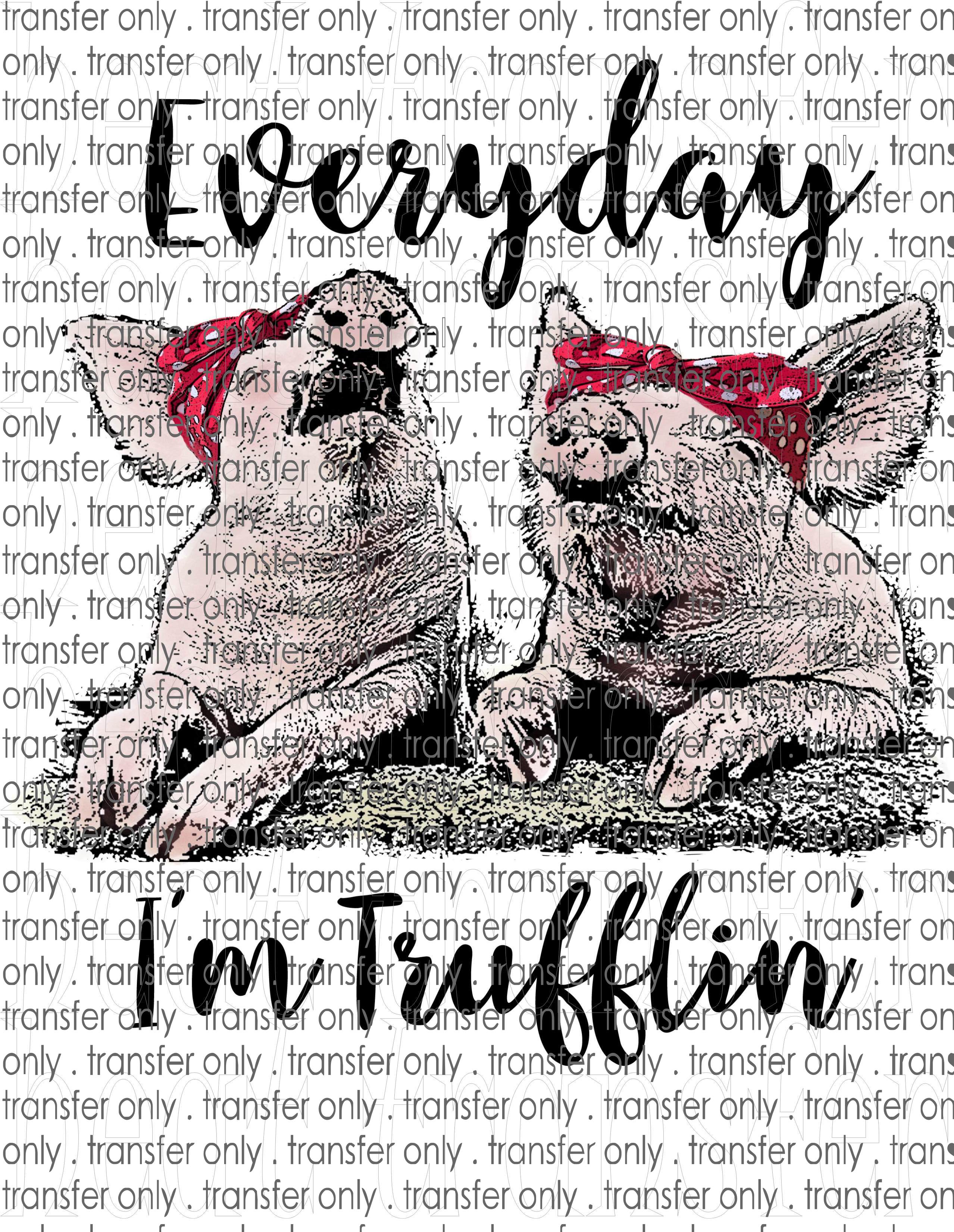 Waterslide, Sublimation Transfers - Country Pig