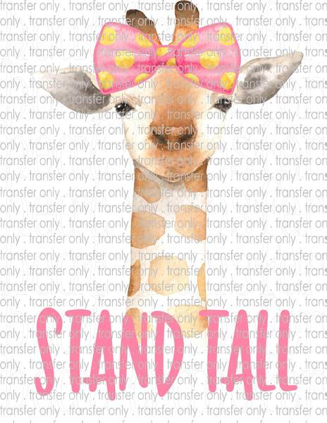 Waterslide, Sublimation Transfers - Kids