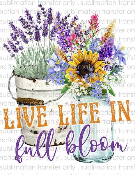 Waterslide, Sublimation Transfers - Ladies