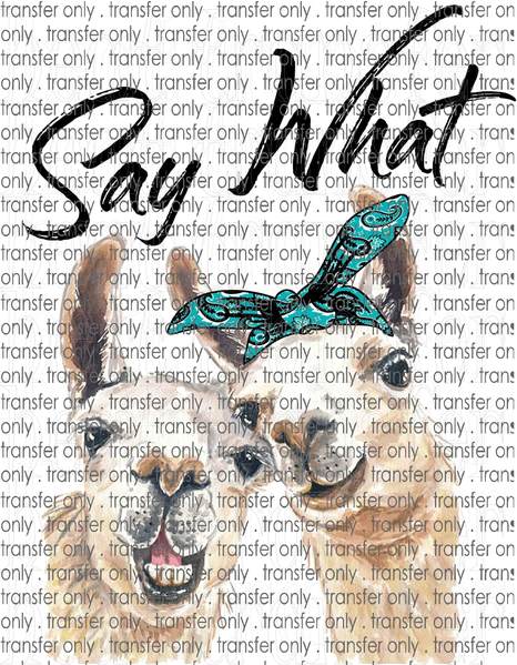 Waterslide, Sublimation Transfers - Ladies