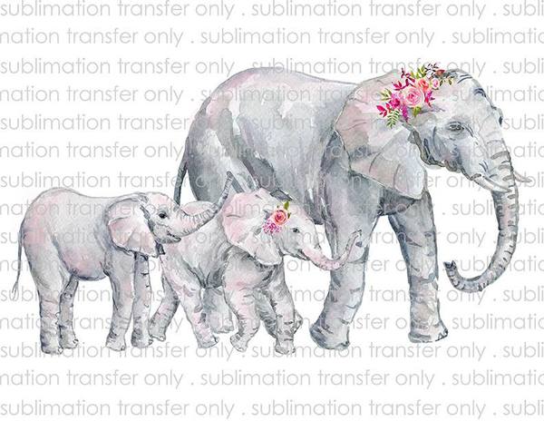 Waterslide, Sublimation Transfers - Ladies