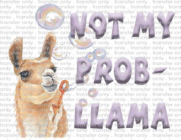 Waterslide, Sublimation Transfers - Ladies