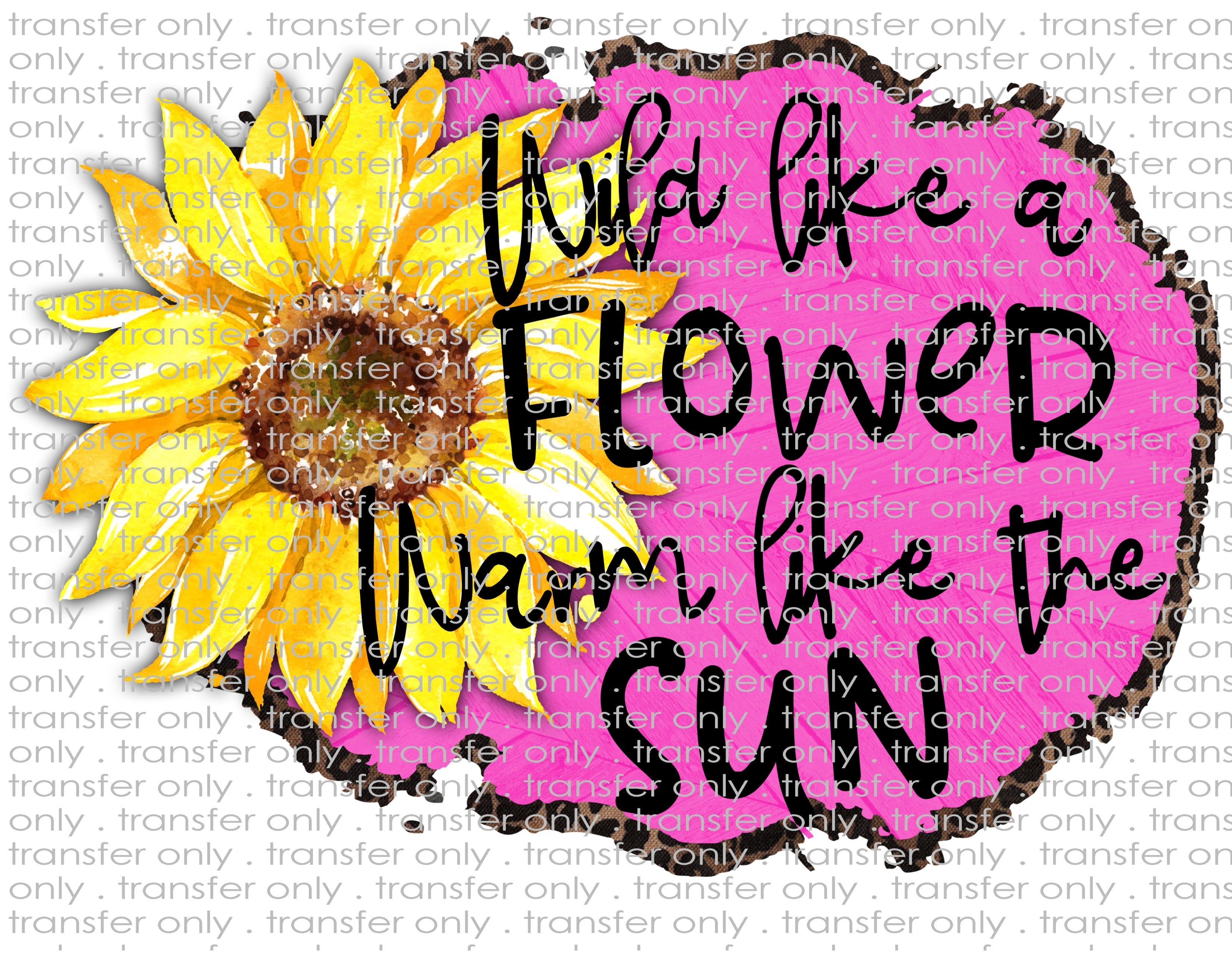 Waterslide, Sublimation Transfers - Ladies