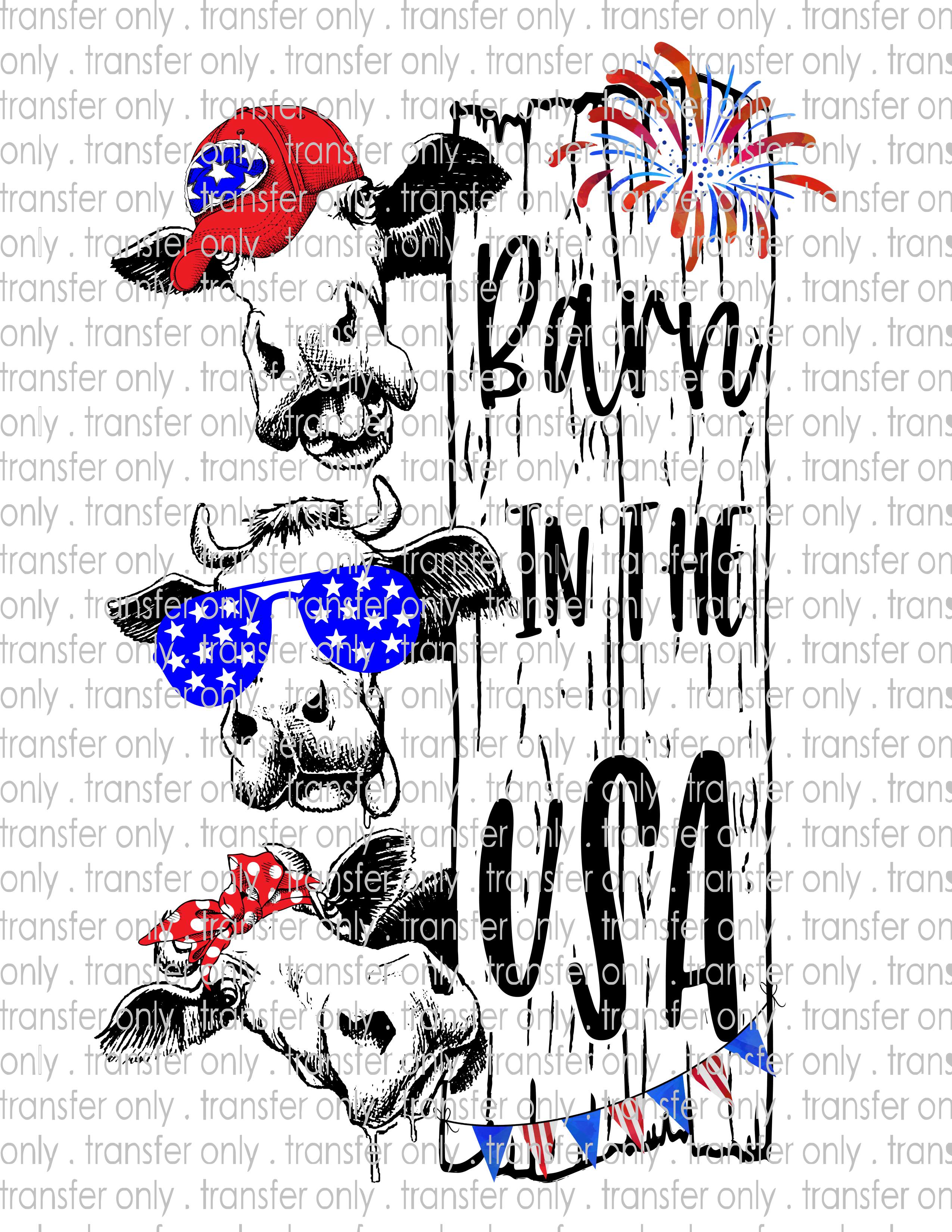 Waterslide, Sublimation Transfers - Patriotic