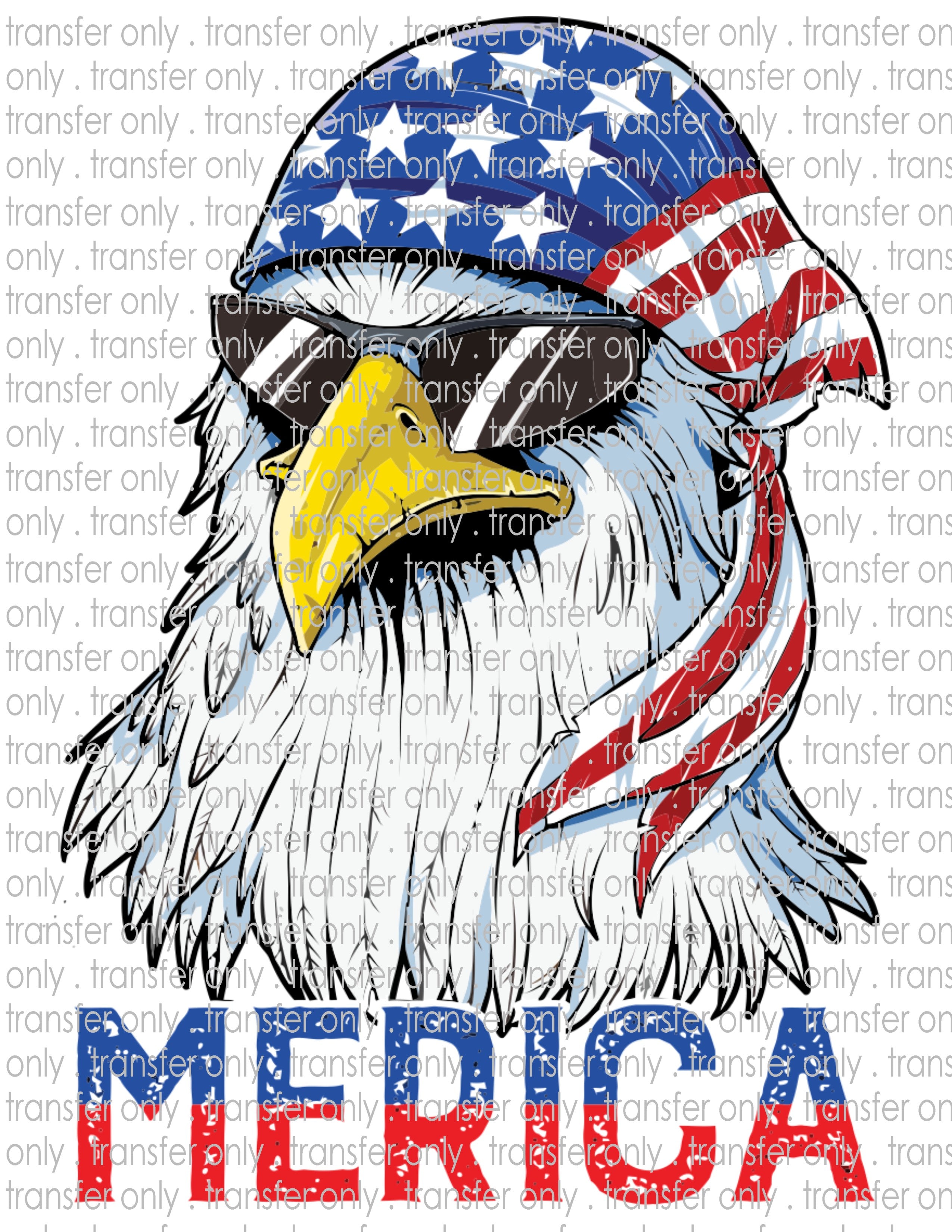 Waterslide, Sublimation Transfers - Patriotic