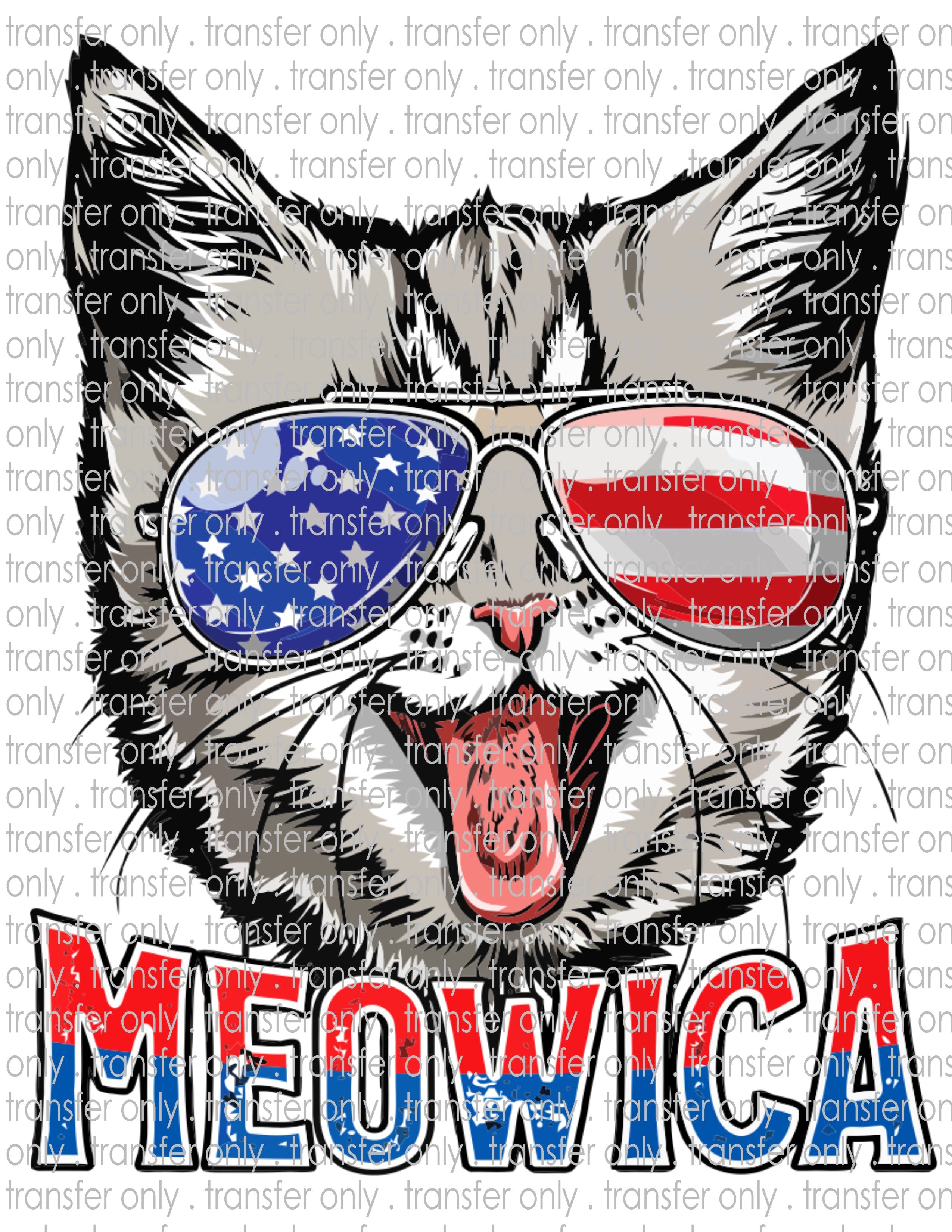 July 4th - Waterslide, Sublimation Transfers