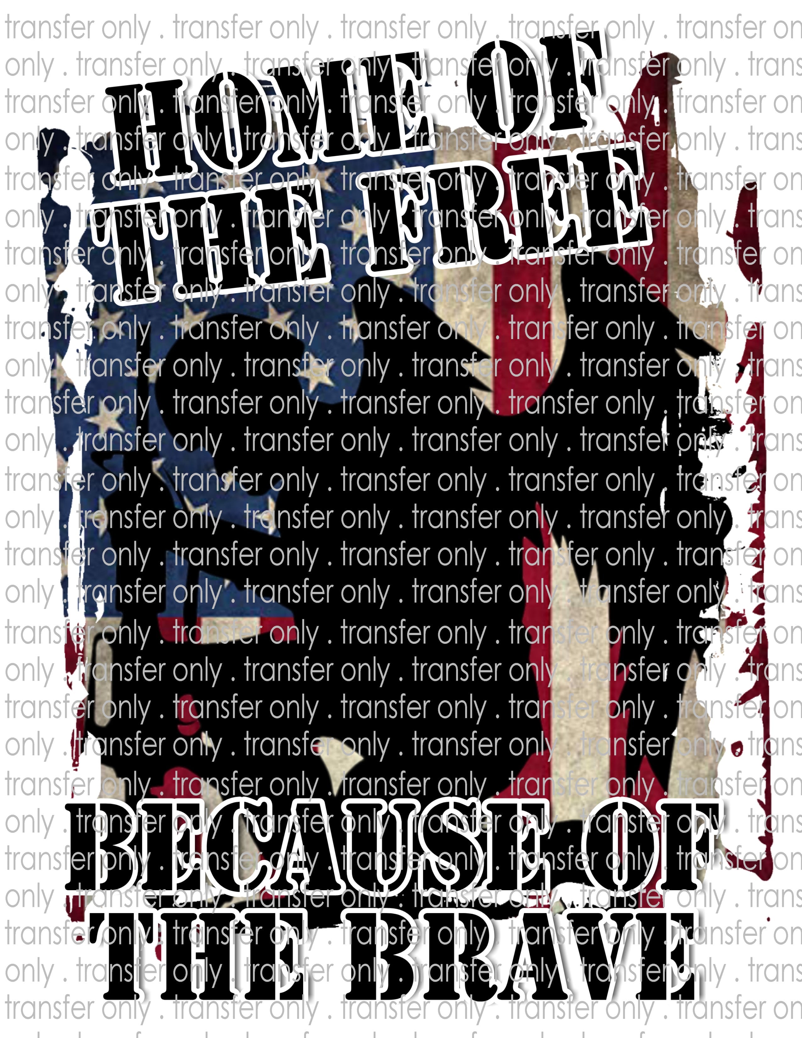 Waterslide, Sublimation Transfers - Patriotic