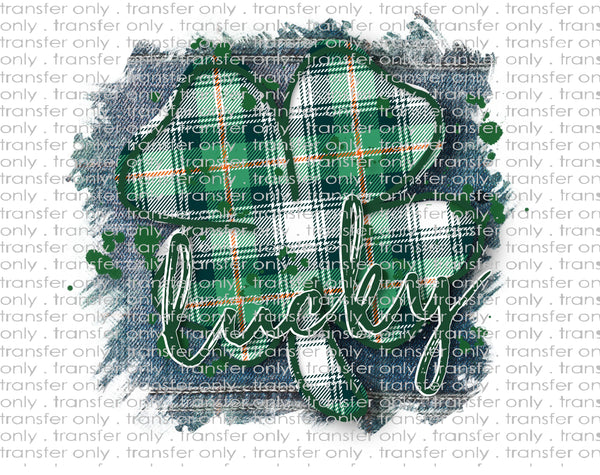 Waterslide, Sublimation Transfers - St. Patrick's Day