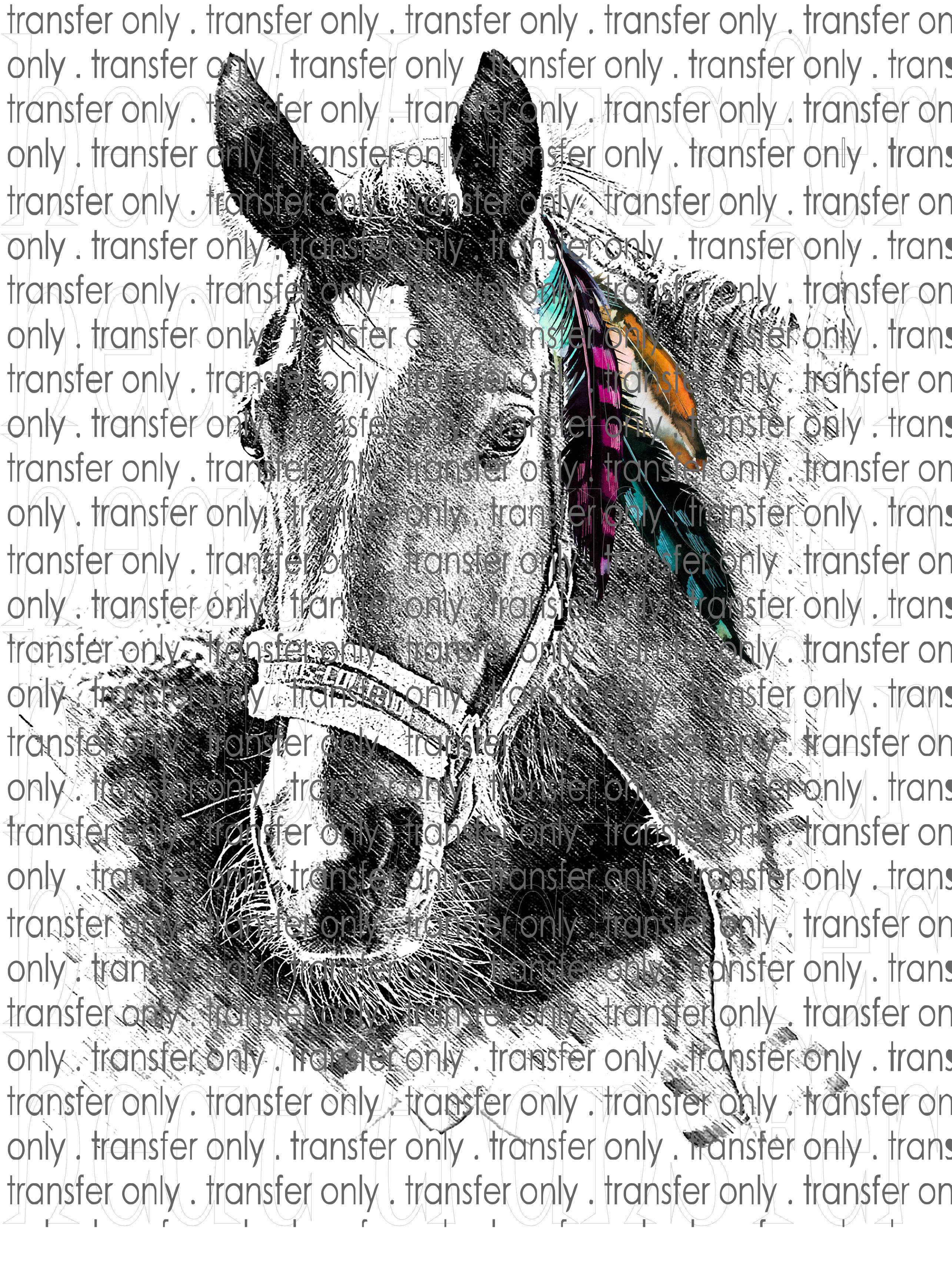 Waterslide, Sublimation Transfers - Country