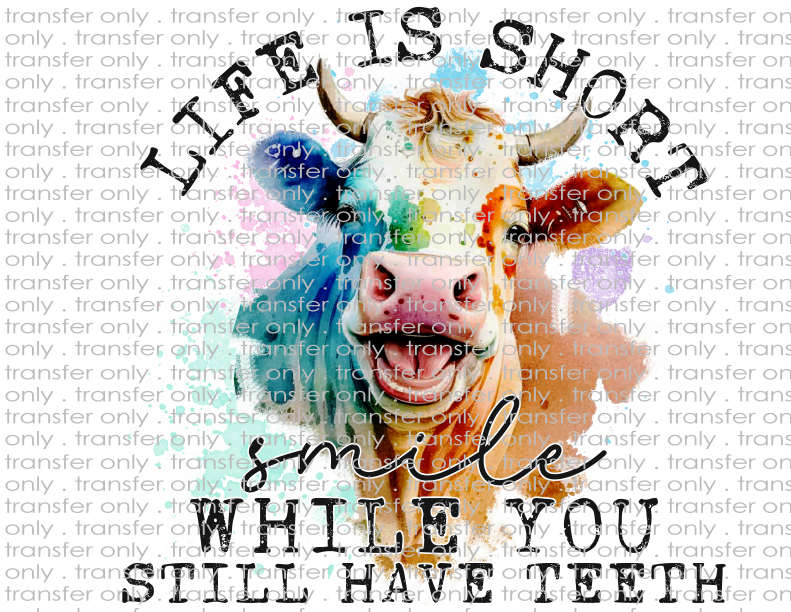 Life Is Short, Smile While You Still Have Teeth - Waterslide, Sublimation Transfers