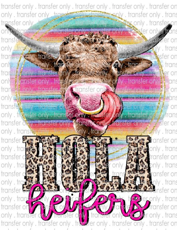 Hola Heifers - Waterslide, Sublimation Transfers