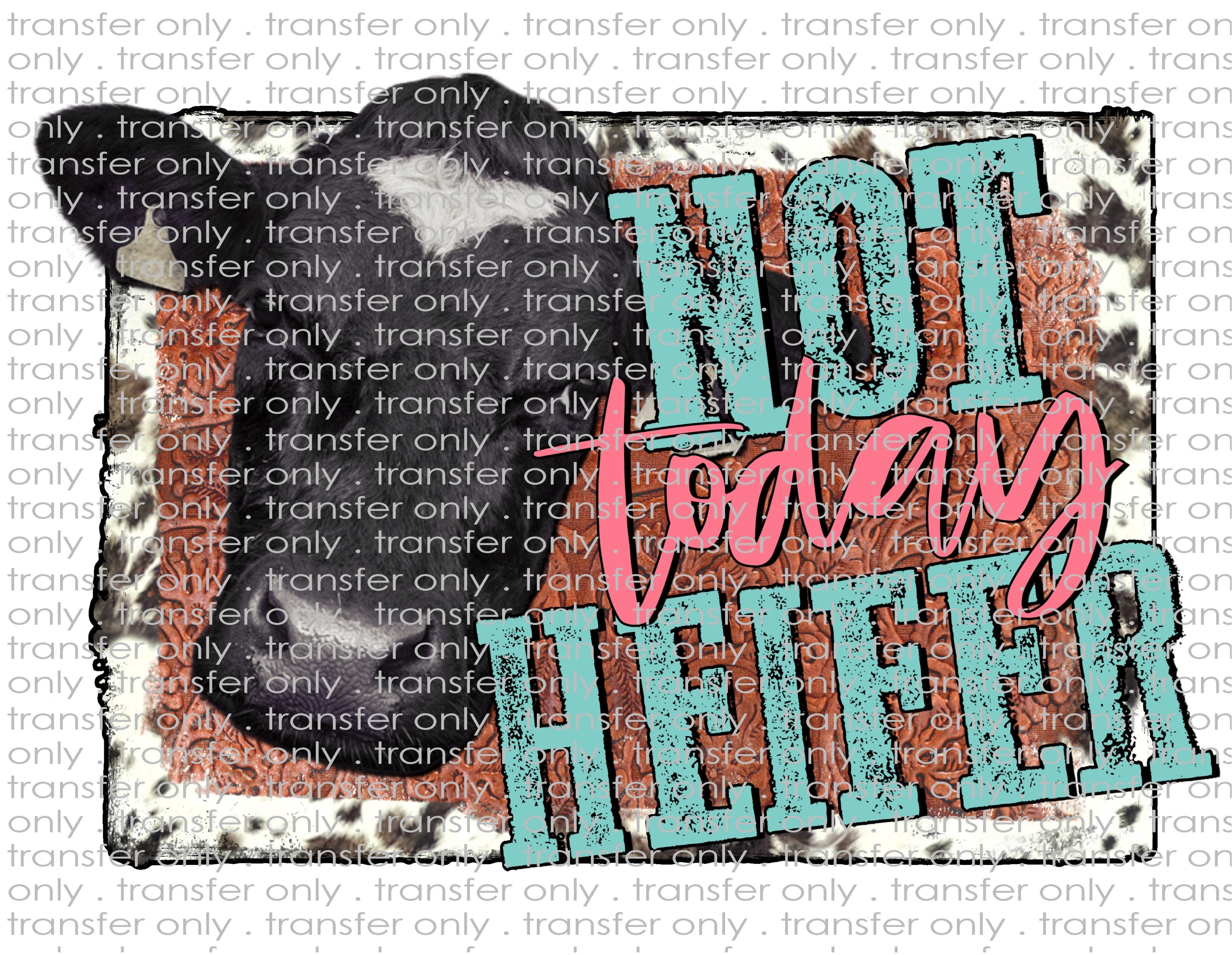 Not Today Heifer - Waterslide, Sublimation Transfers