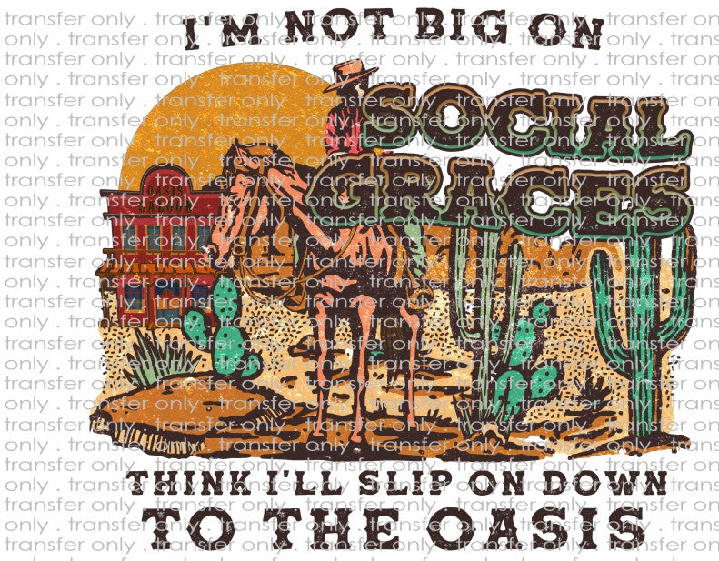 I'm Not Big on Social Graces - Waterslide, Sublimation Transfers