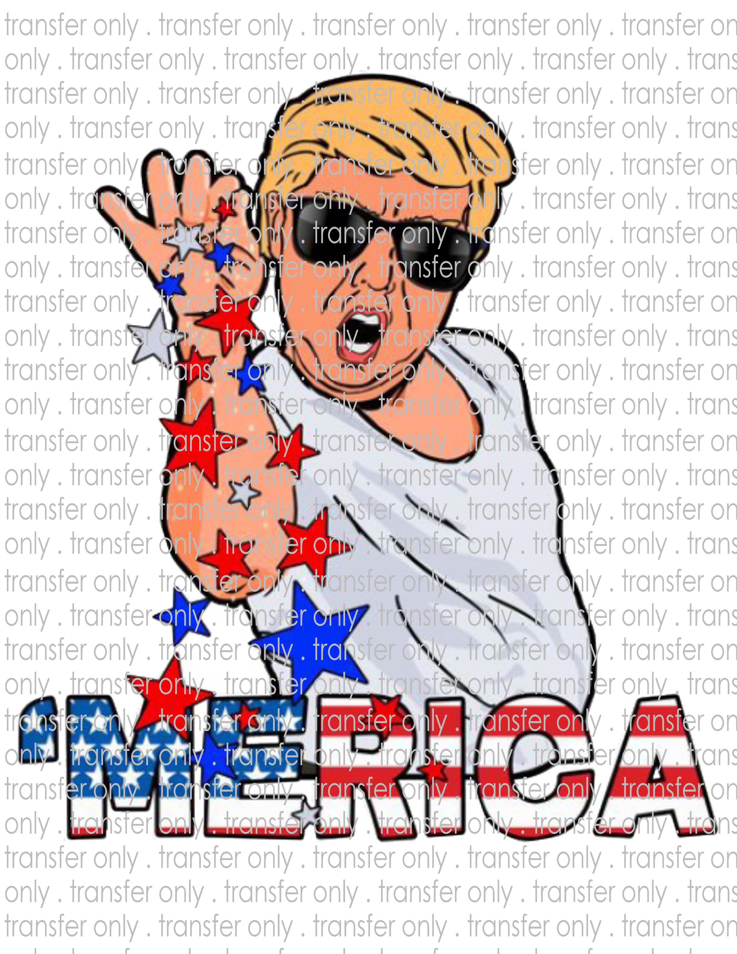 Waterslide, Sublimation Transfers - Patriotic