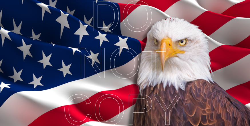 License Plate Sheets - Sublimation Transfer