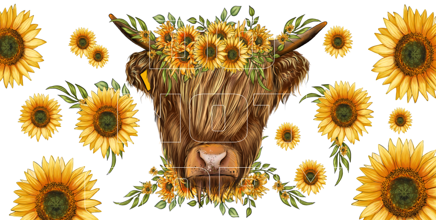 Shaggy Cow Sublimation Transfers - License Plate Sheets