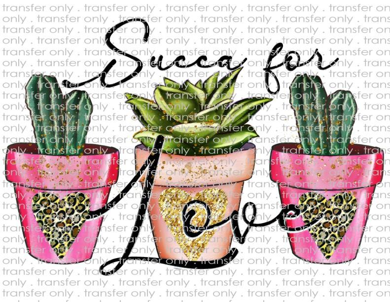Succa for Love Valentine's - Waterslide, Sublimation Transfers