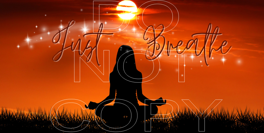 License Plate Sheets - Sublimation Transfer