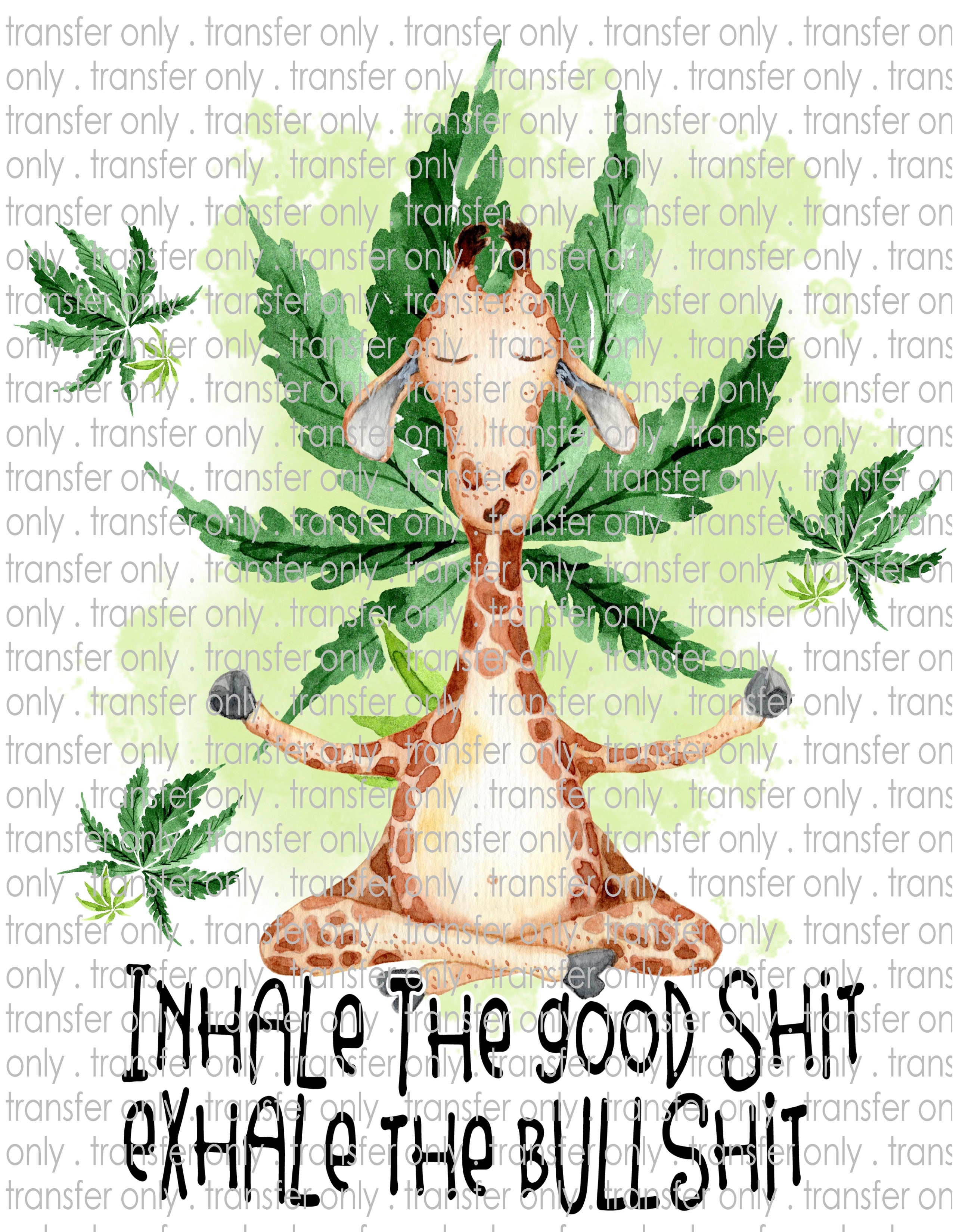 Waterslide, Sublimation Transfers - Mature Adult