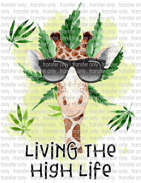 Waterslide, Sublimation Transfers - Mature Adult