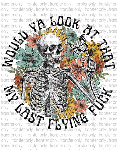 Would You Look At That, My Last Flying F*ck - Waterslide, Sublimation Transfers