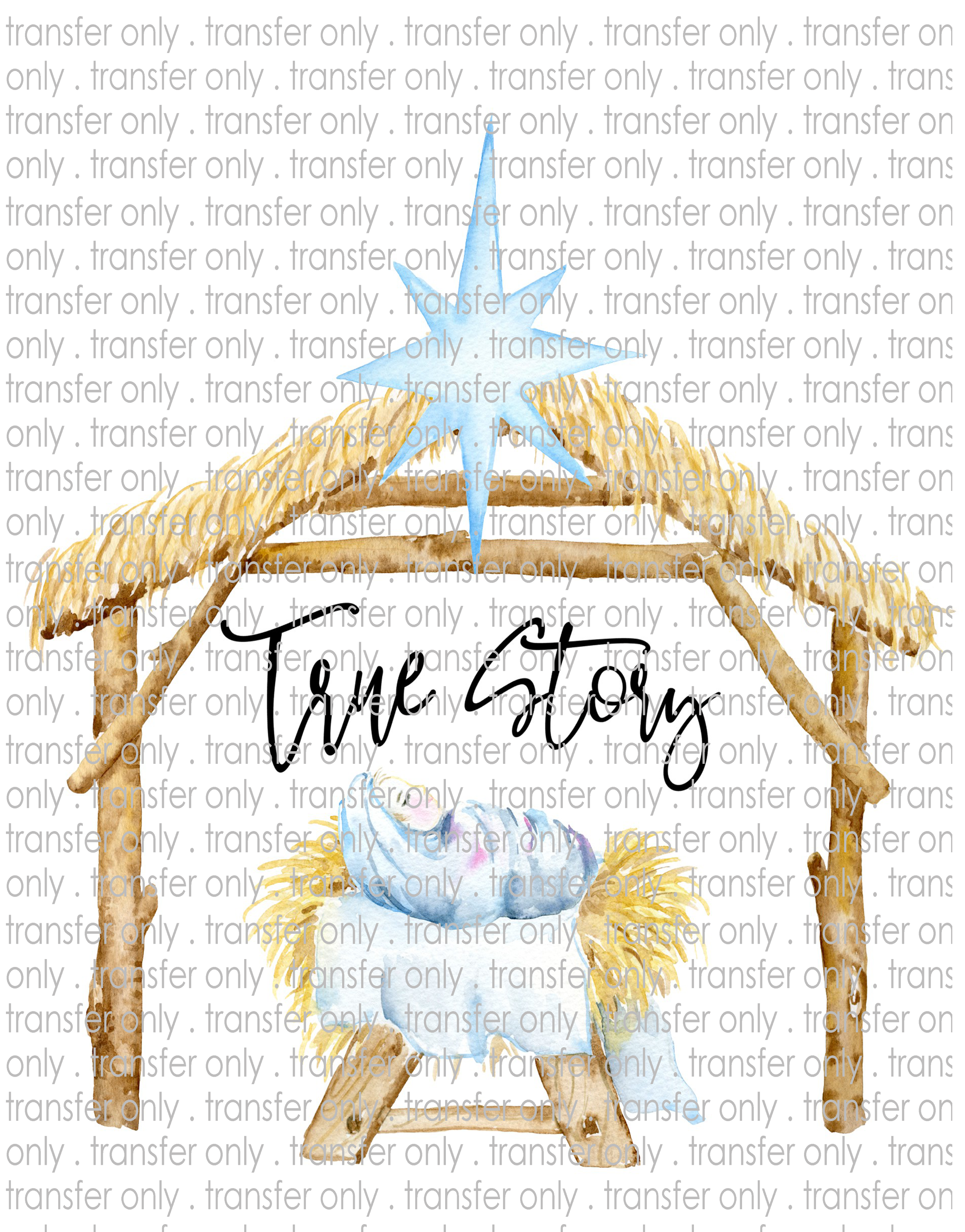 True Story - Waterslide, Sublimation Transfers