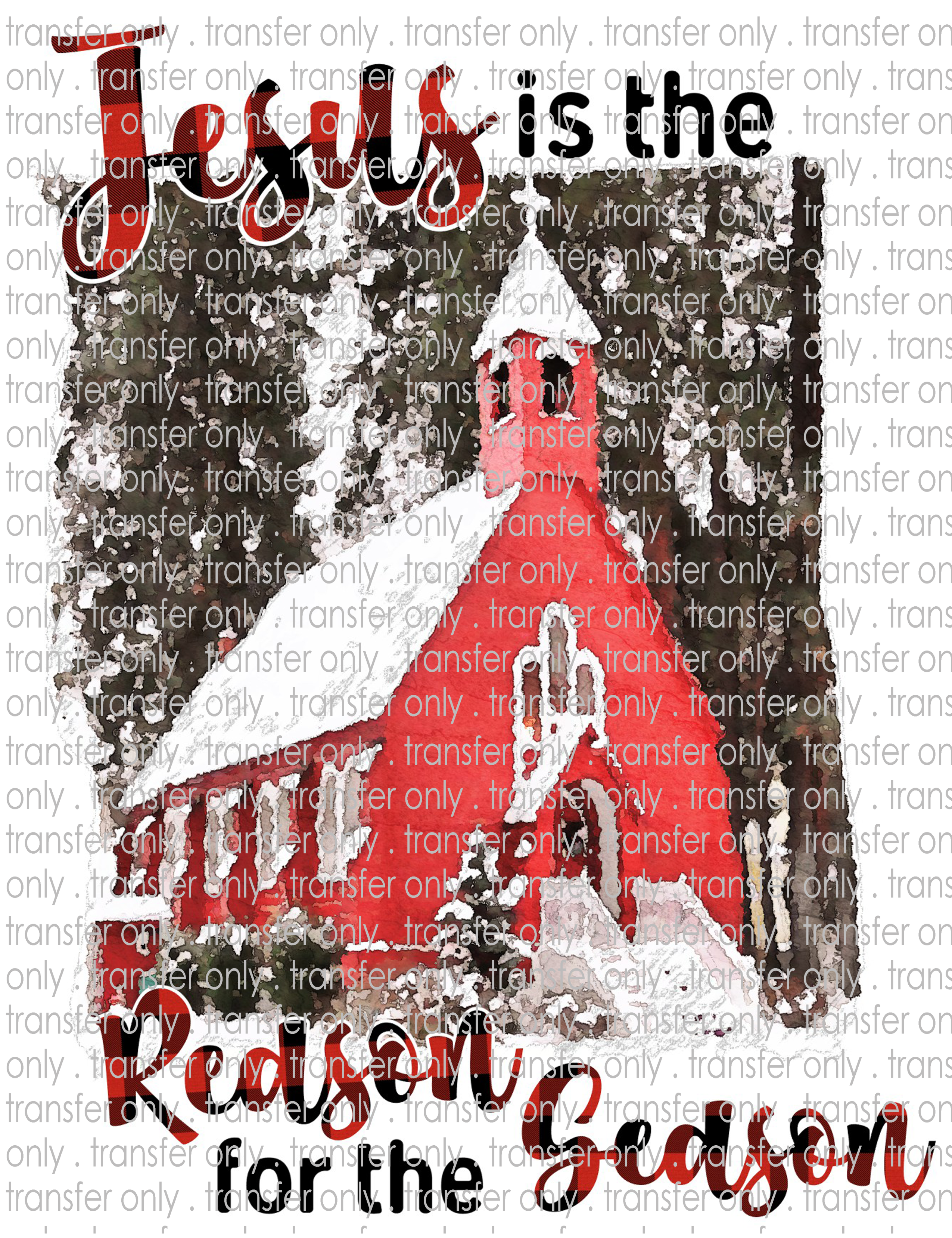 Reason for the Season - Waterslide, Sublimation Transfers