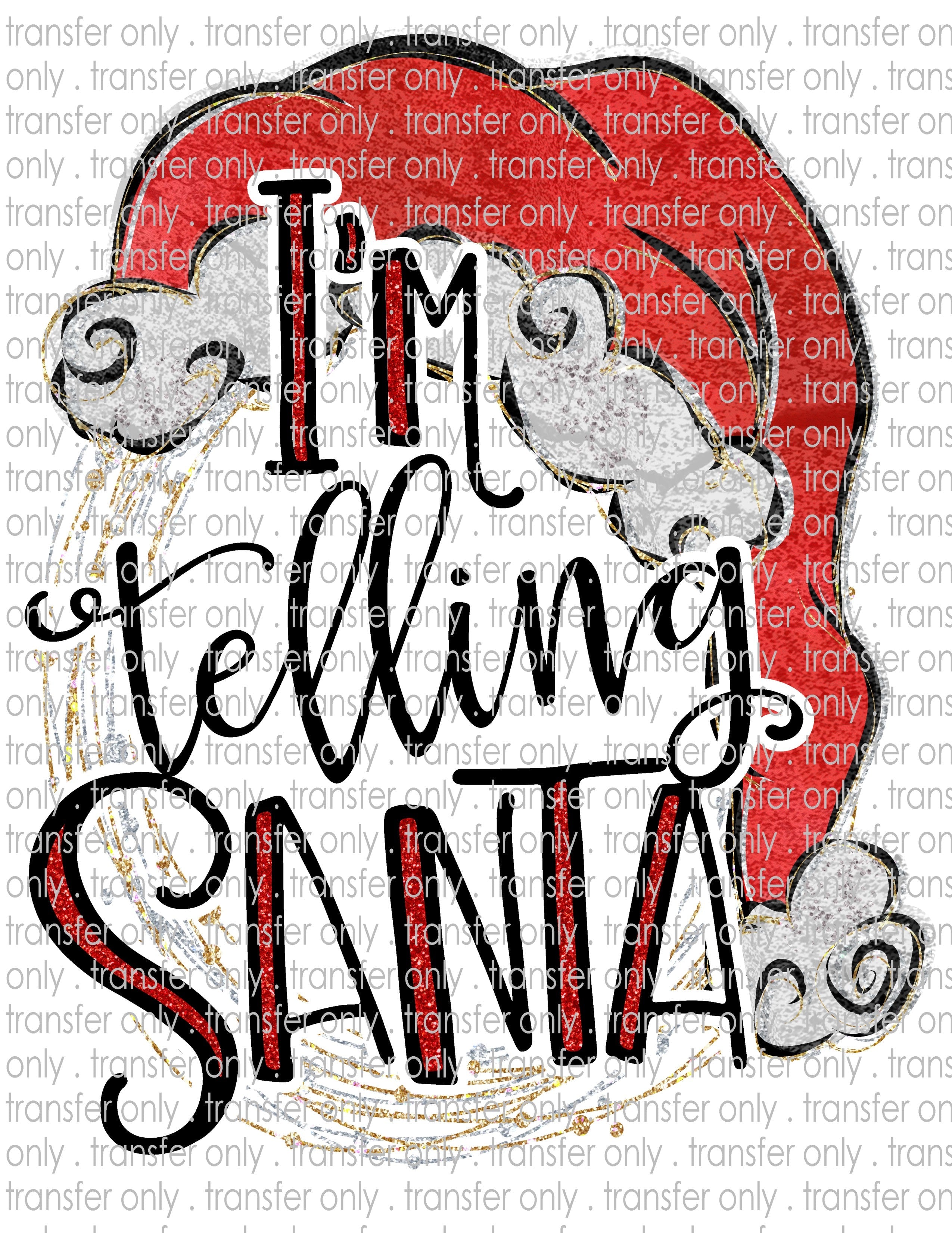 Waterslide, Sublimation Transfers - Christmas