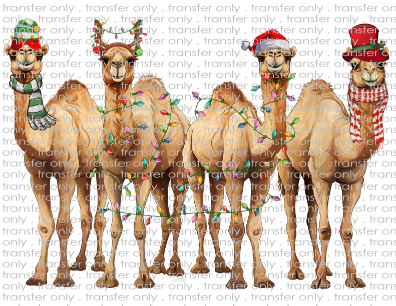 Christmas Camels - Waterslide, Sublimation Transfers