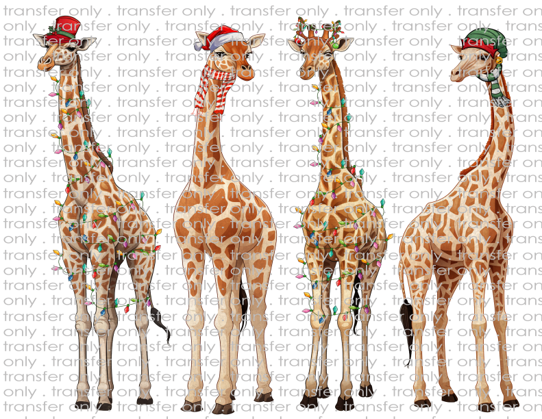Christmas  Giraffes - Waterslide, Sublimation Transfers