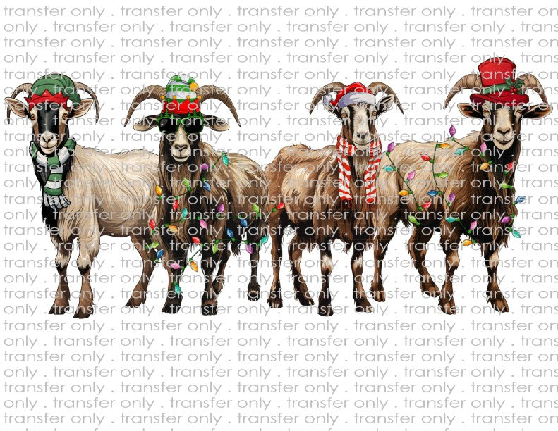 Christmas Goat - Waterslide, Sublimation Transfers