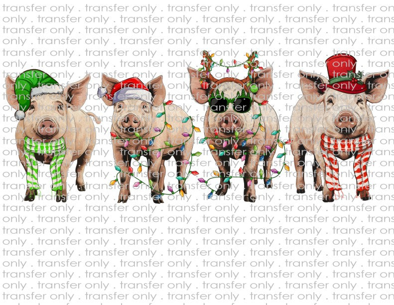 Christmas Pigs - Waterslide, Sublimation Transfers