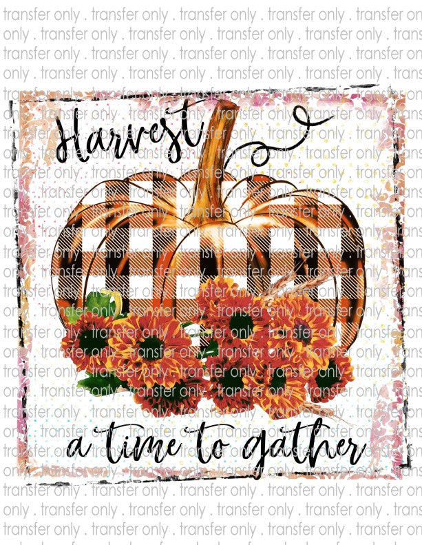 Waterslide, Sublimation Transfers - Fall & Winter