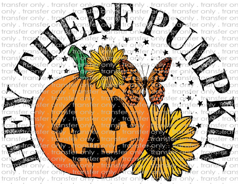 Hey There Pumpkin - Waterslide, Sublimation Transfers