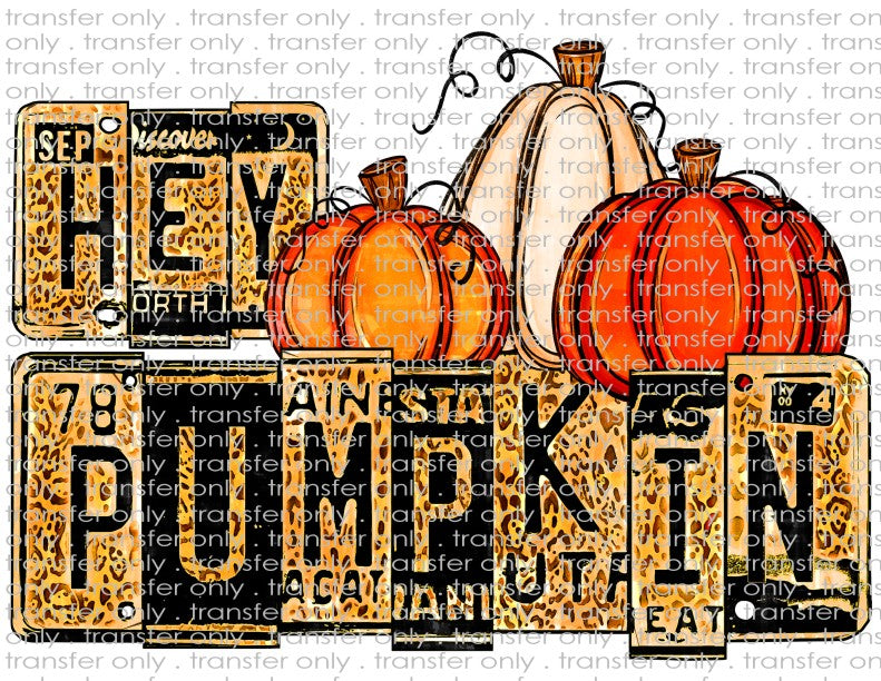 Hey Pumpkin - Waterslide, Sublimation Transfers