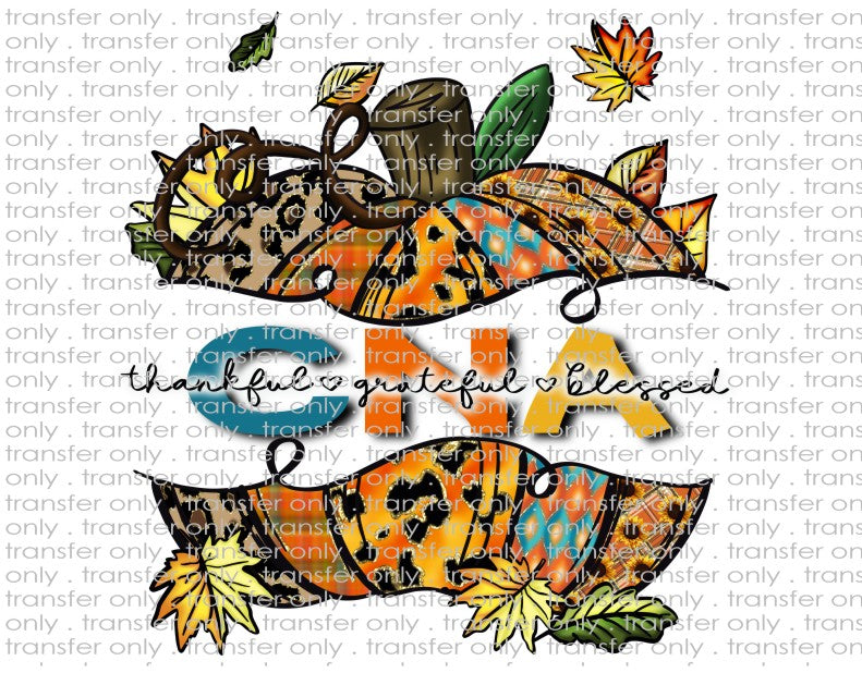 CNA Pumpkin - Waterslide, Sublimation Transfers