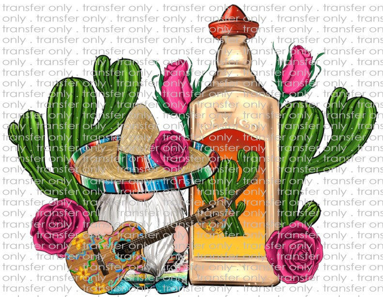 Fiesta Gnome - Waterslide, Sublimation Transfers