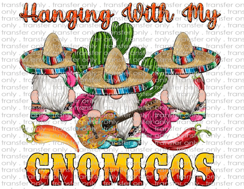 Hanging with My Gnomigos - Waterslide, Sublimation Transfers