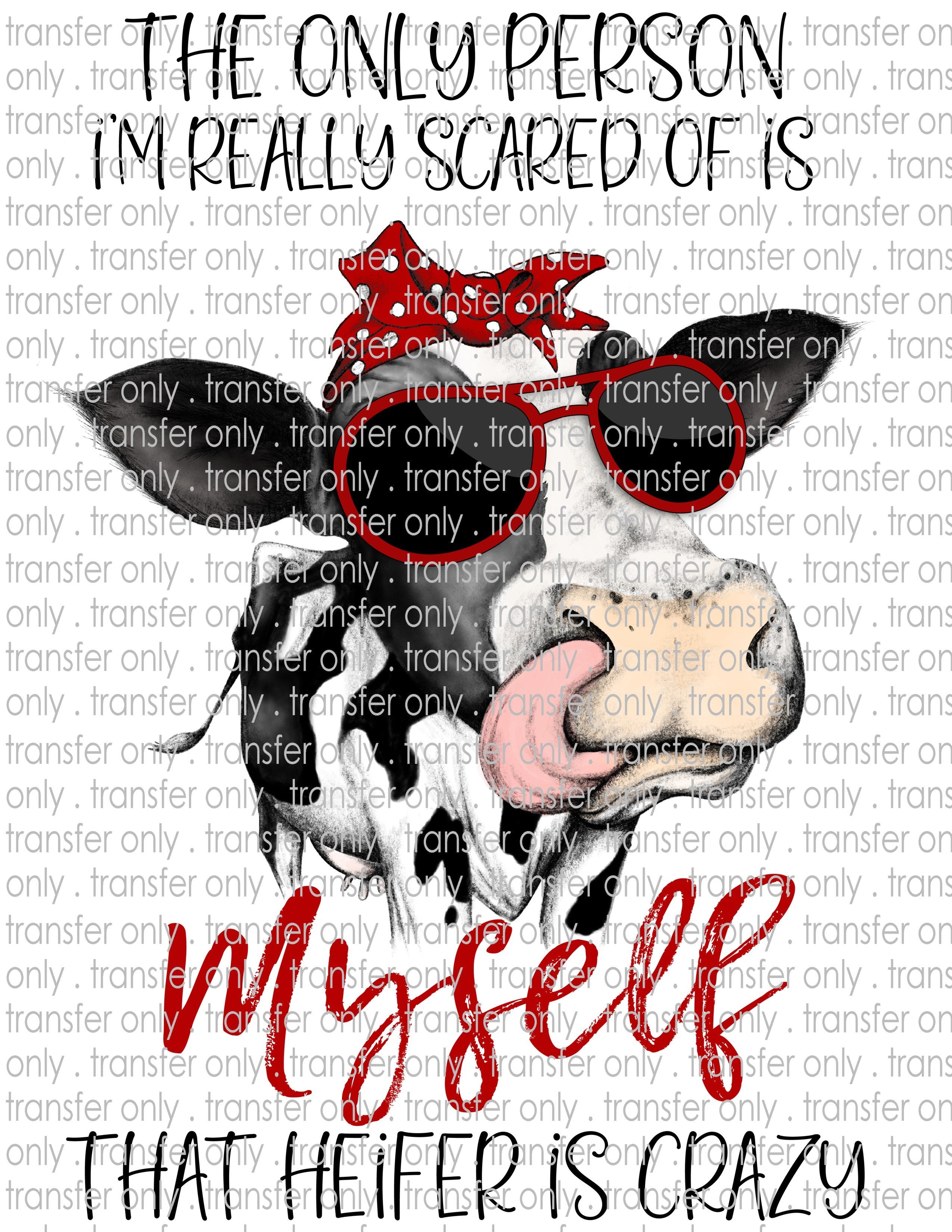 Crazy Heifer - Waterslide, Sublimation Transfers