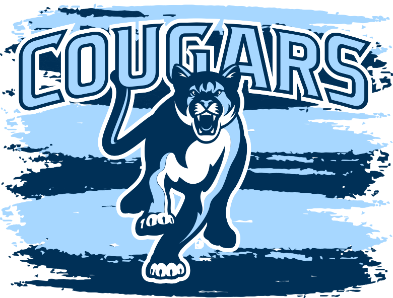 Waterslide, Sublimation Transfers - Team Mascots