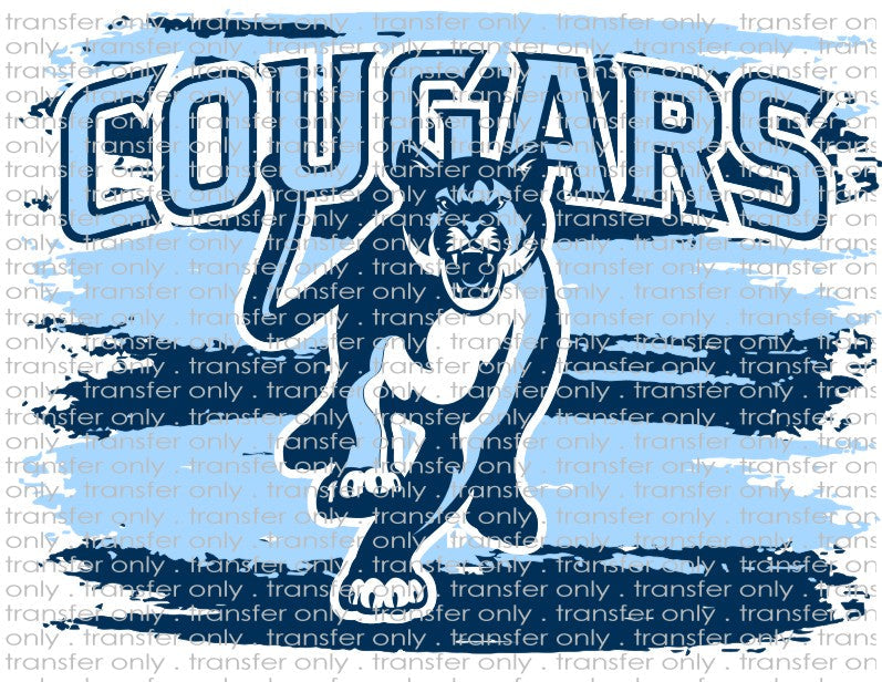 Waterslide, Sublimation - Team Mascots