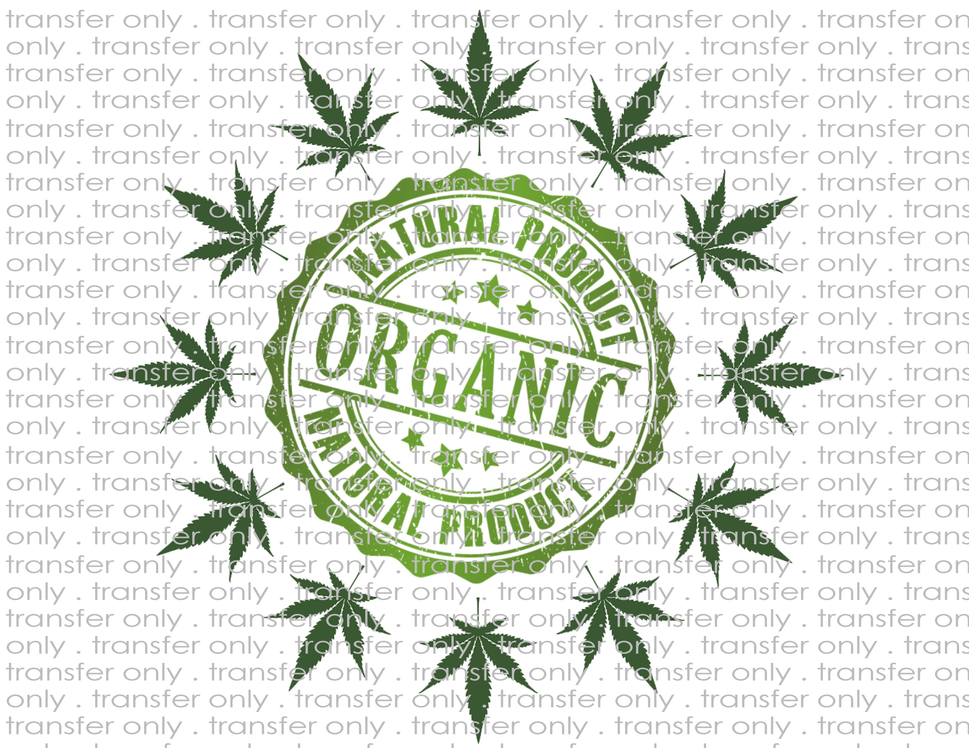 Waterslide, Sublimation Transfers - Mature Adult