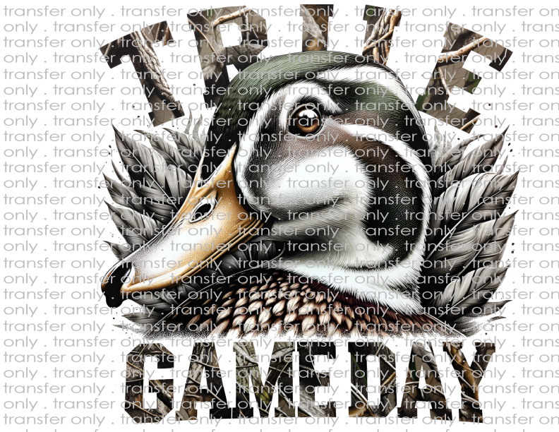 True Game Day - Waterslide, Sublimation Transfers