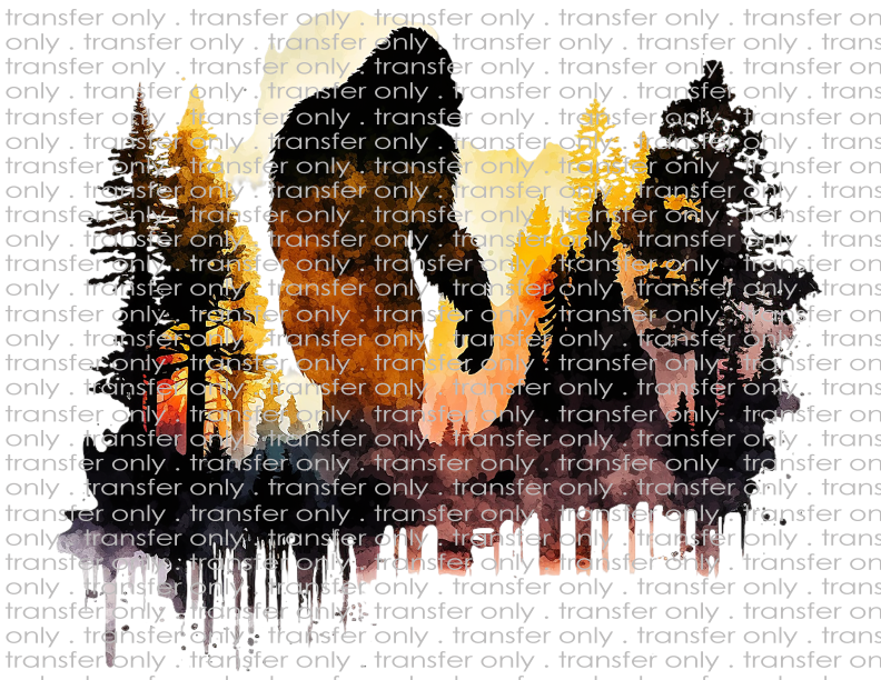 Bigfoot - Waterslide, Sublimation Transfers